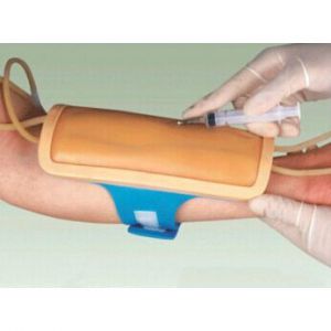 Forearm venipuncture training model